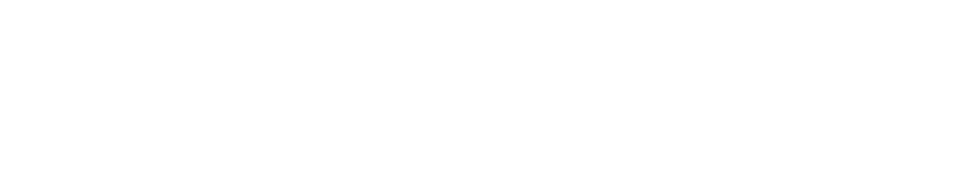 Regnant Hair Concierge